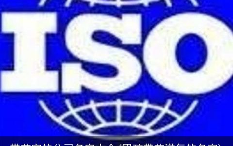 带艺字的公司名字大全(男孩带艺洋气的名字)