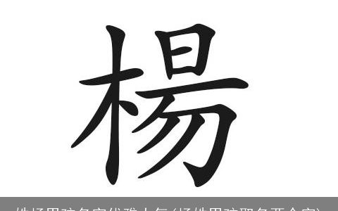 姓杨男孩名字优雅大气(杨姓男孩取名两个字)
