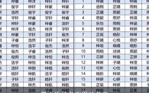 带龙氏的名字男孩名字