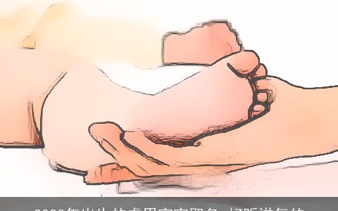 2024年出生的虎男宝宝取名 好听洋气的