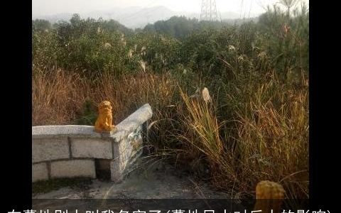 在墓地别人叫我名字了(墓地风水对后人的影响)