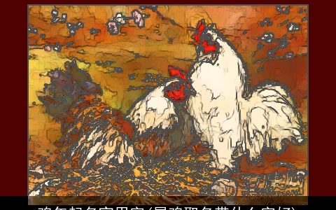 鸡年起名宜用字(属鸡取名带什么字好)