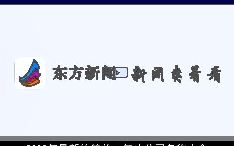 2024年最新的简单大气的公司名称大全