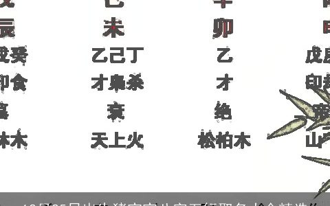 12月25日出生猪宝宝八字五行取名大全精选