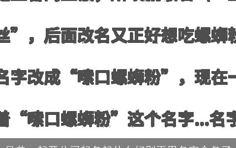 兄弟一起开公司起名起什么好别再用名字命名了