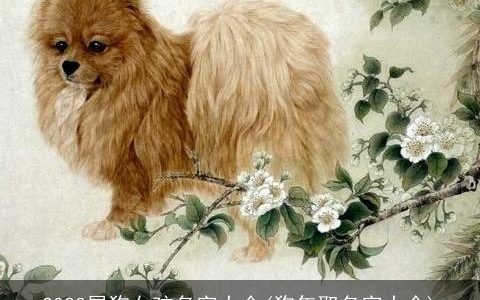 2024属龙女孩名字大全(龙年取名字大全)