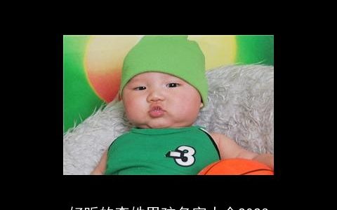 好听的李姓男孩名字大全2024