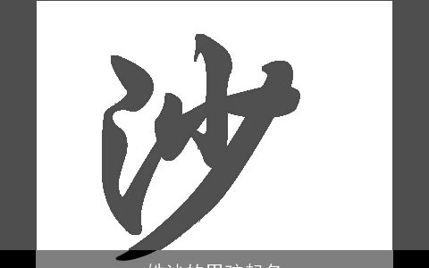 姓沙的男孩起名