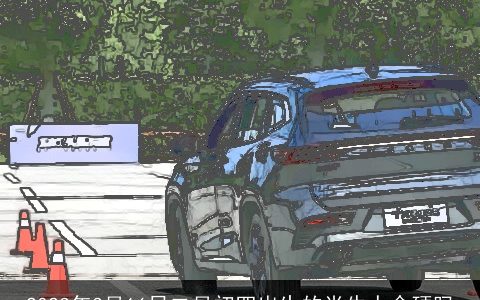 2023年3月16日二月初四出生的肖牛人命硬吗