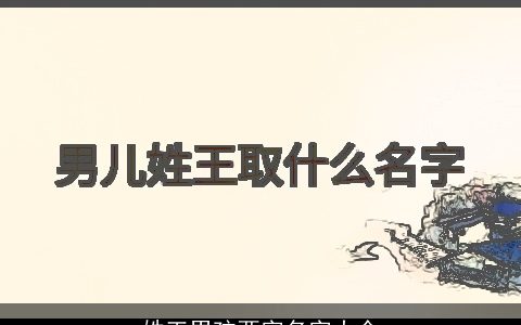 姓王男孩两字名字大全