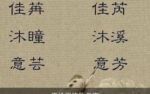 常姓双胞胎名字