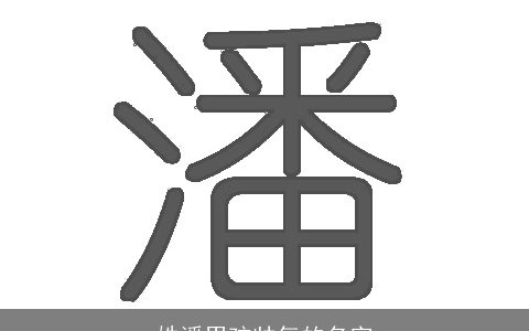 姓潘男孩帅气的名字
