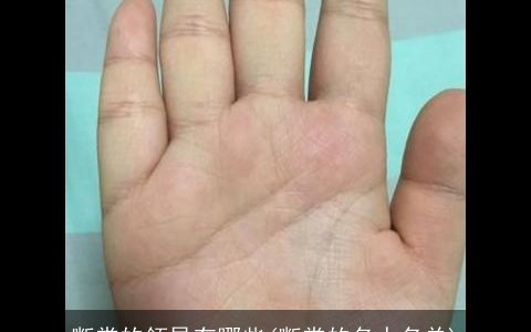 断掌的领导有哪些(断掌的名人名单)