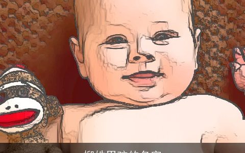 柳姓男孩的名字