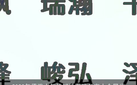 2023年儒雅大气的邹姓男孩名字大全属牛
