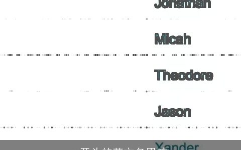 a开头的英文名男孩