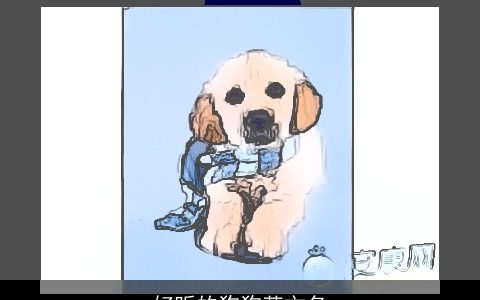 好听的狗狗英文名