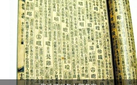 施姓可以怎么取名字