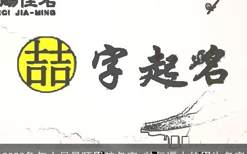 2023兔年十月最旺男孩名字 帅气逼人的男生名字