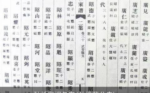 孙姓高端名字(孙姓辈分表)