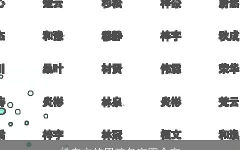 姓东方的男孩名字四个字