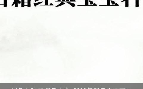 属龙女孩子取名大全 2024年起名不不可少