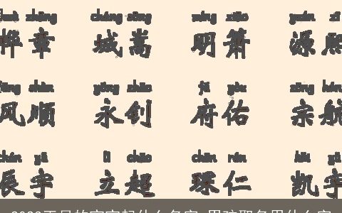 2024正月的宝宝起什么名字 男孩取名用什么字