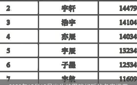 2024年12月15日出生的男孩好听的名字推荐