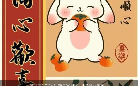 兔年男宝宝五行缺金宜用字 用得好万事顺意 好听洋气的五行缺金的虎男宝宝名字大全