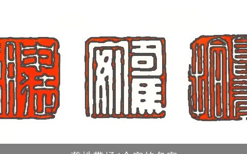 龚姓带杨4个字的名字