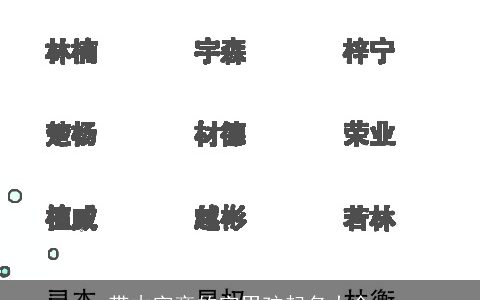 带木字旁的字男孩起名大全