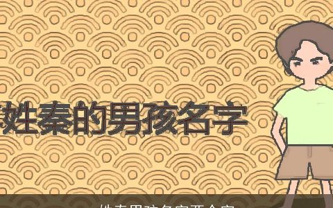 姓秦男孩名字两个字