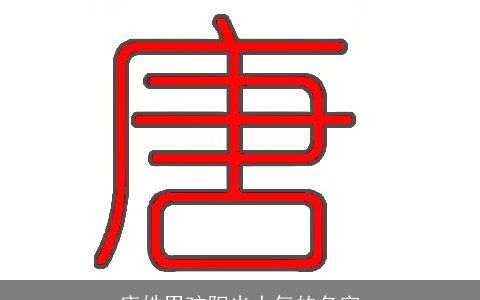 唐姓男孩阳光大气的名字