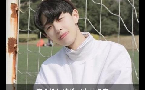 有个性的凌姓男生的名字