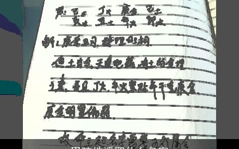 男孩姓潘取什么名字