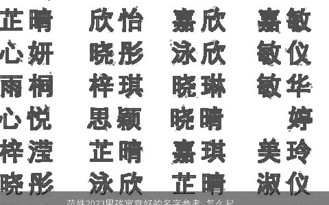 范姓2023男孩寓意好的名字参考 怎么起名大全有出息 有涵养寓意的范姓男孩名字大全