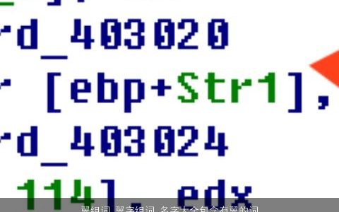 翼组词 翼字组词 名字大全包含有翼的词语成语 2023霸气好听的成语名字最新