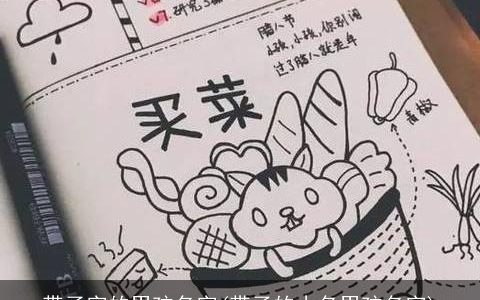 带子字的男孩名字(带子的小名男孩名字)