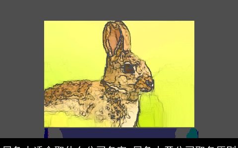 属兔人适合取什么公司名字 属兔人开公司取名原则