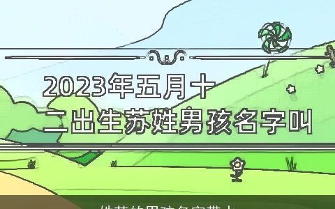 姓苏的男孩名字带水