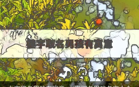 文字取名男孩有寓意 文字取名男孩名字大全