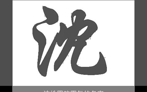 沈姓男孩霸气的名字