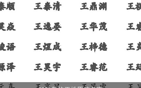 2023年的王姓男孩名字