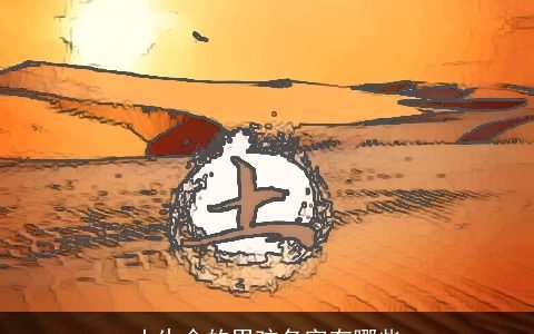 土生金的男孩名字有哪些