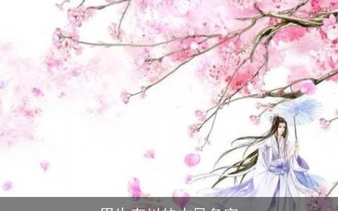 男生有川的古风名字