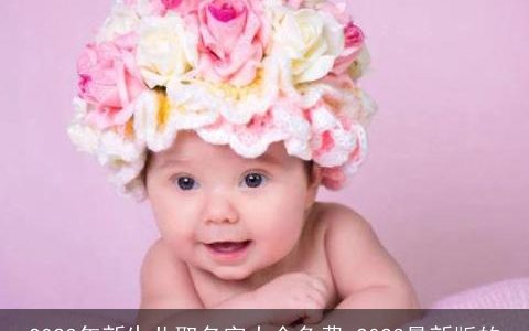 2023年新生儿取名字大全免费 2023最新版的