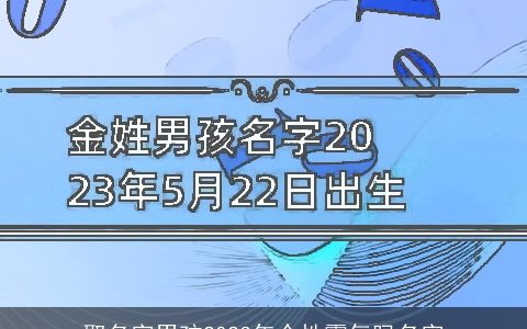 取名字男孩2023年个性霸气吗名字