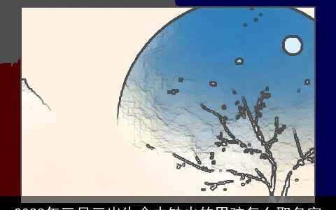 2023年三月三出生命中缺火的男孩怎么取名字