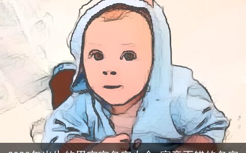 2024年出生的男宝宝名字大全 寓意不错的名字