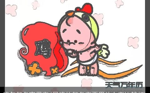 鸡年起名宜用字(属鸡的起名字要用什么字比较好)